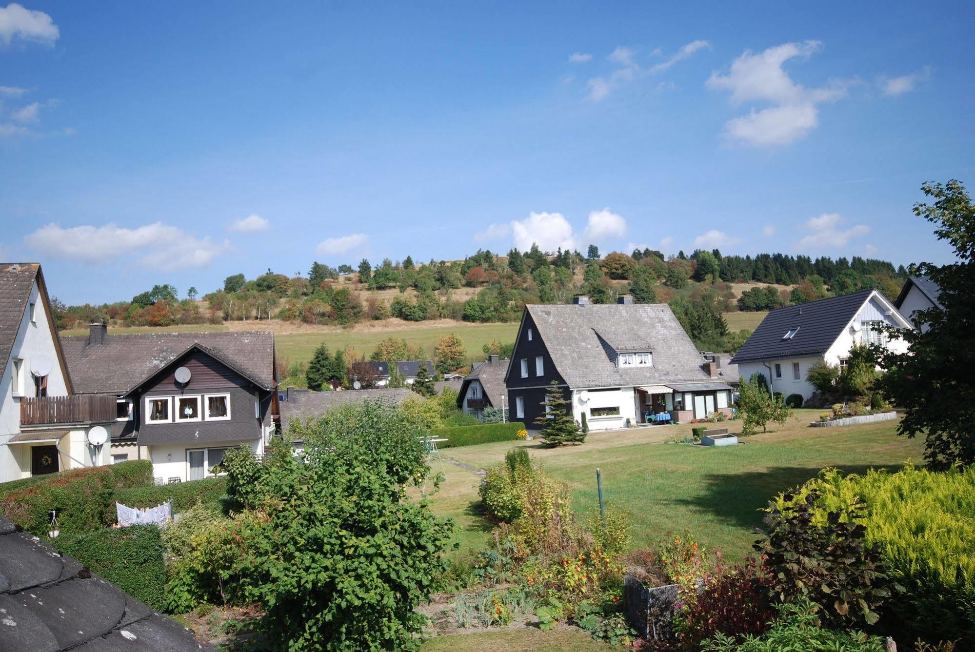 Pension Robin Hood Willingen  Exterior foto